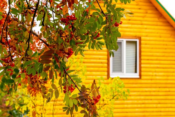 Cost of Garden Window Replacement in Dallas